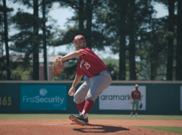 Tips For Your Ballpark or Field - Outfield Batters Eye and Windscreens