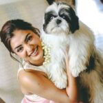 The World of Luxury Jets: Inside Steve Varsano’s Realm of High-End Aviation Her Pet Coco