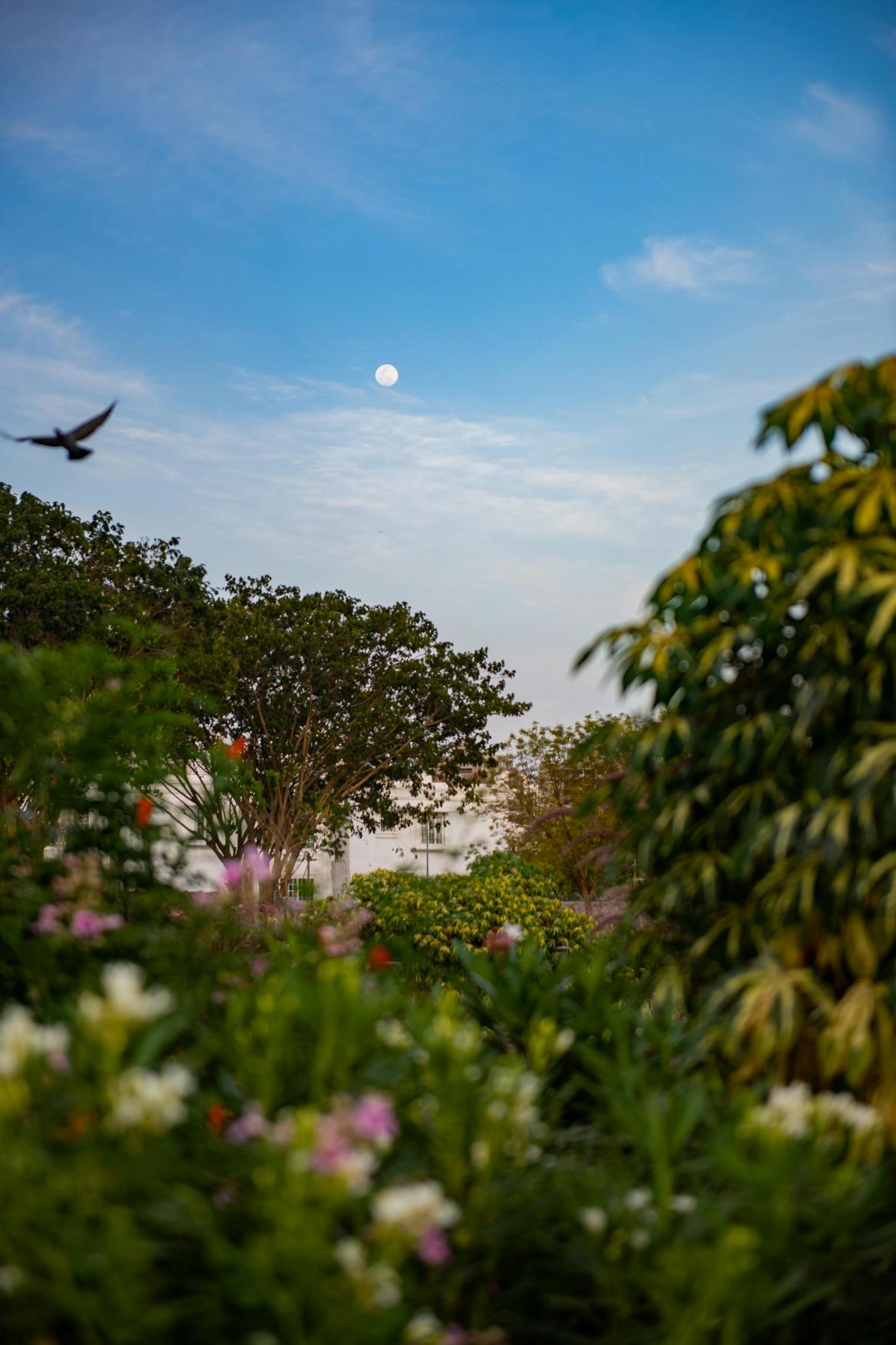 Flower Moon